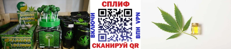 где купить   darknet телеграм  Еда ТГК конопля  Михайловка 