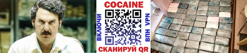 Кокаин Fish Scale  маркетплейс клад  Михайловка  закладки 