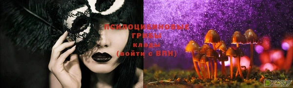 мескалин Коряжма