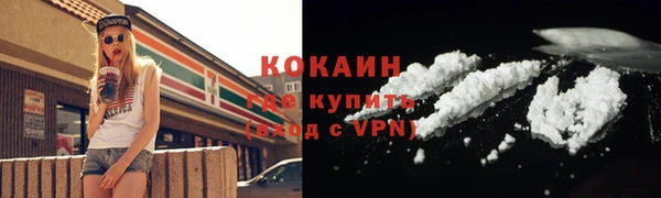 индика Осташков