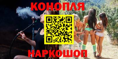 спайс Гагарин