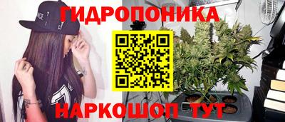 спайс Гагарин