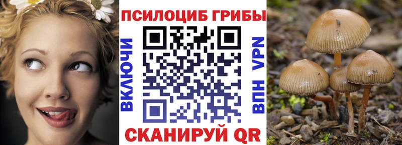 купить  цена  Михайловка  blacksprut tor  Псилоцибиновые грибы мицелий 