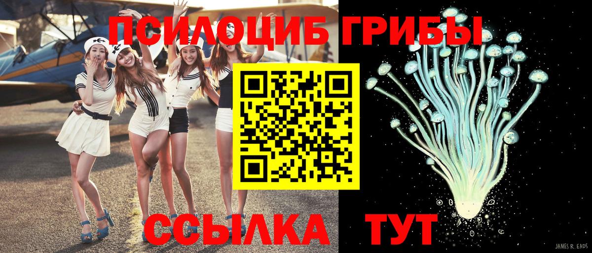 Михайловка  Галлюциногенные грибы мухоморы  Вход с VPN 